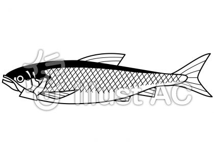 鮭の無料フリーイラスト素材白黒モノクロ