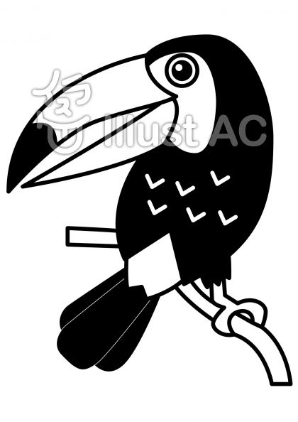 オオハシの無料フリーイラスト素材白黒モノクロ