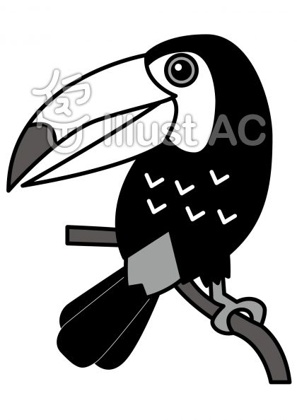 オオハシの無料フリーイラスト素材グレースケール