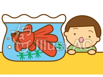 金魚と男の子の無料フリーイラスト素材